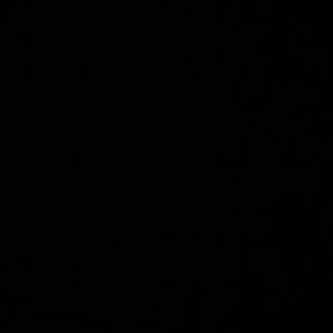 Meet your Posher, Brainard